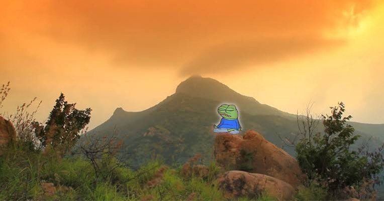 Pepe at peace on the mountain